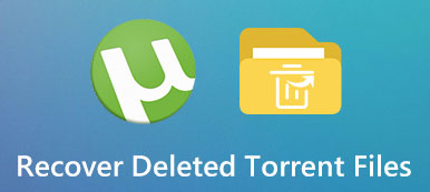 Gelöschte Torrent-Dateien wiederherstellen