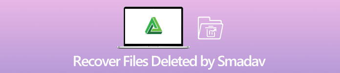 Smadav Tarafından Silinen Dosyaları Kurtar
