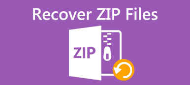 Recuperación de archivos ZIP