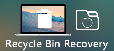 Recycle Bin Recovery
