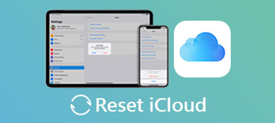 Setzen Sie iCloud zurück