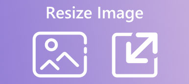 Redimensionner l'image