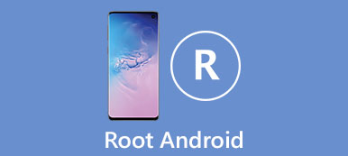 Android raíz