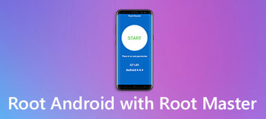 Root Maestro