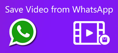 Spara video från WhatsApp