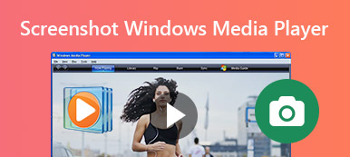 Snímek obrazovky Windows Media Player