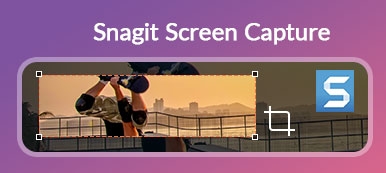 Capture d'écran Snagit