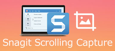 Snagit-rulling