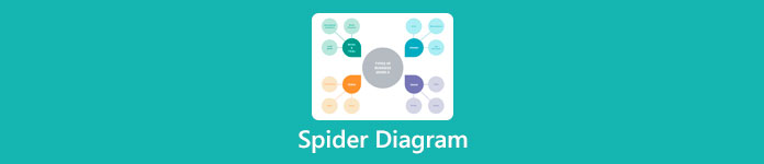 Spider Diagraming