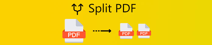 PDF splitsen