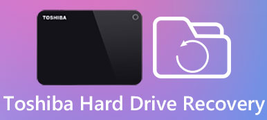 Toshiba Hard Drive Recovery