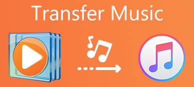Übertragen von Musik zwischen Windows Media Player und iTunes