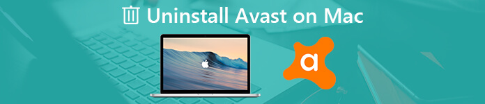 Avast Antivirus Yardımcı Programını Kaldırma