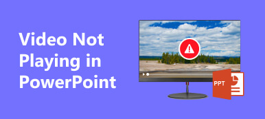 Video wird in PowerPoint nicht abgespielt