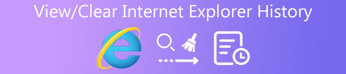 Bekijk Wis de geschiedenis van Internet Explorer