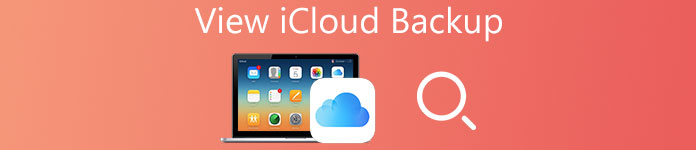 Bekijk alle iCloud-back-upbestanden