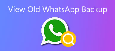 查看舊的WhatsApp備份