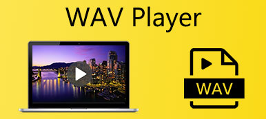 WAV Player