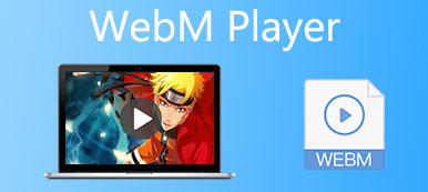 WebM-spelare