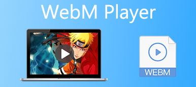 WebM播放器