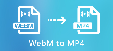 WebM to MP4