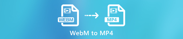 WebM naar MP4