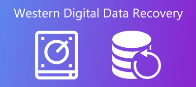 Återställ data från Western Digital Hard Drive