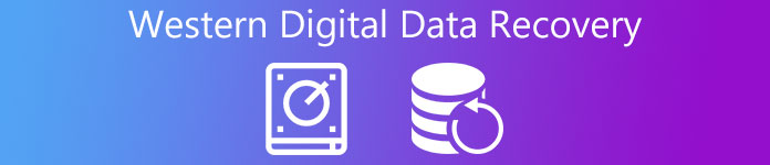 Wiederherstellen von Daten von Western Digital Hard Drive