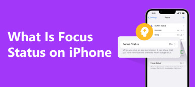 Was ist der Fokusstatus auf dem iPhone?