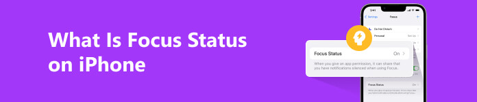 Wat is de focusstatus op de iPhone