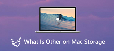 Τι είναι άλλος στη αποθήκευση Mac