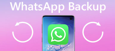 WhatsApp Backup