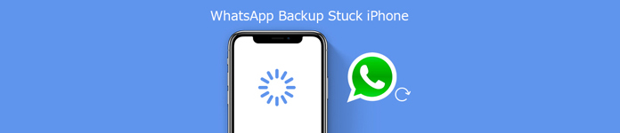 Whatsapp back-up iPhone vast