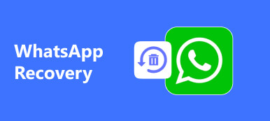 WhatsApp helyreállítás