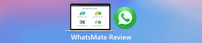 WhatsMate recension
