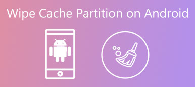 Cache-Partition abwischen