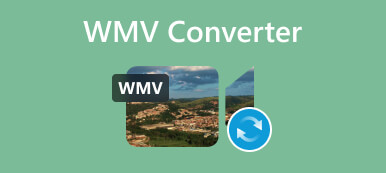 WMV конвертер