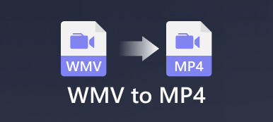 WMV til MP4