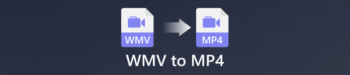 WMV в MP4