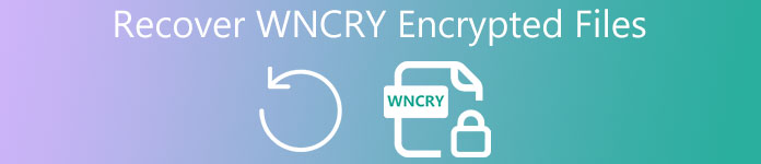 Recuperación de Wncry