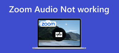 Zoom Lyd fungerer ikke