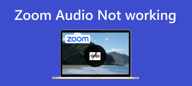 Zoom de audio no funciona