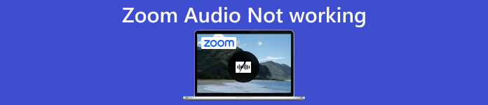 Zoom de audio no funciona