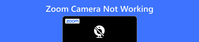 Zoom Camera Not Working