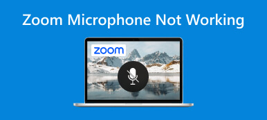 Zoommikrofonen fungerar inte