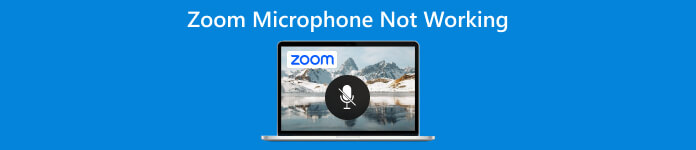 Le microphone zoom ne fonctionne pas