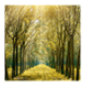 bosques