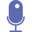 Capture Voice