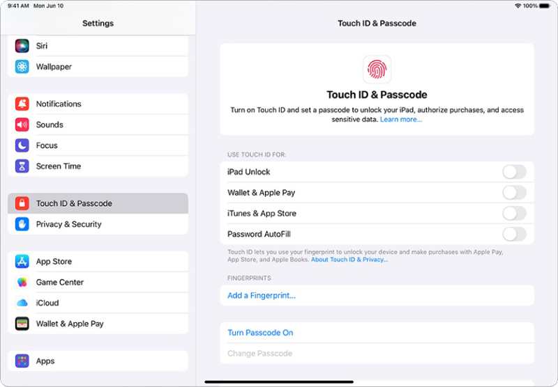 打开 Touchid iPad