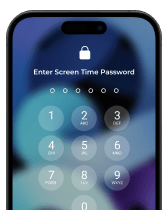 Forgot iPhone Passcode
